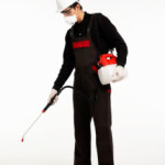 professional-exterminator