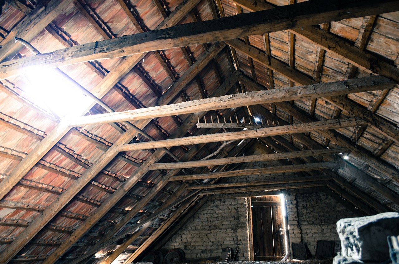 How Do Roof Rats Get In Attic? Exterminatorhamilton.ca