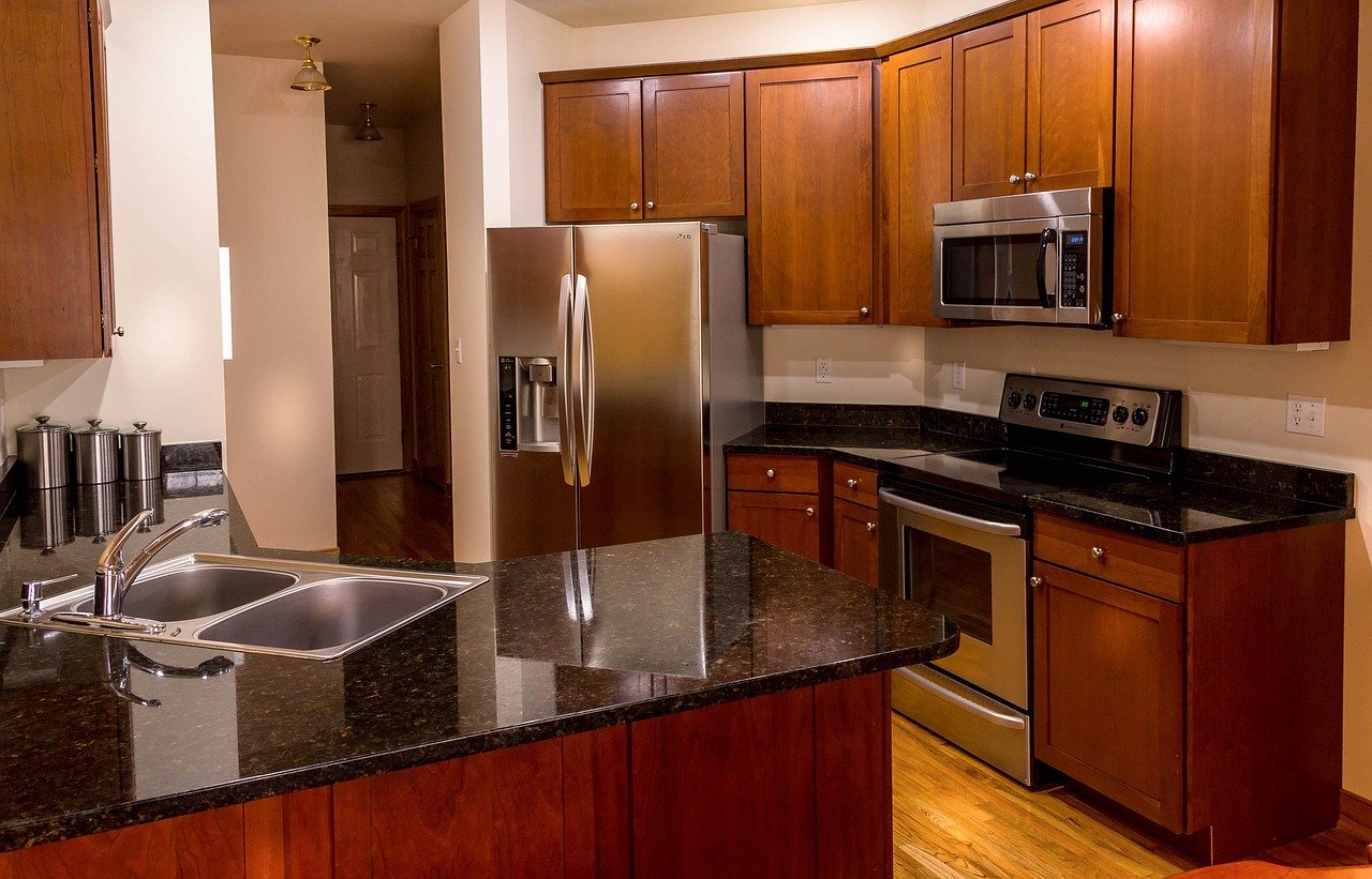 cockroaches microwave rid disinfection rats ants mice wasps bugs bed service