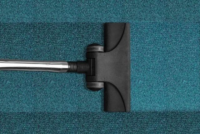 Can You Vacuum a Mattress to Kill Bed Bugs