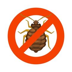 Bed bug signs - bed bug exterminator Hamilton